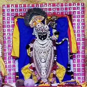 “Govinda Ala Re”: Janmashtami Celebration at Gokuldham