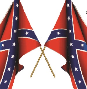 Perspective: SHOULD THE CONFEDERATE FLAG COME DOWN?