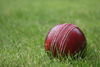TAMA: Cricket Tournament