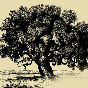 Musings: Under the Tamarind Tree