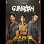 MOVIE REVIEW: Gumraah (Astray)