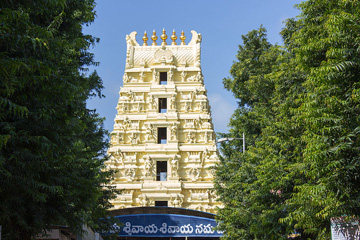 01_18_Pilgrimage_Srisailam-Gopuram.jpg