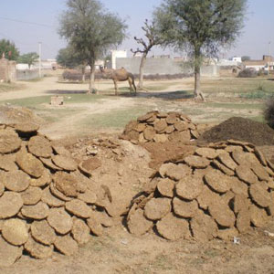 ROOM-FRESHENING CAKES