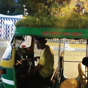 THE AUTO DRIVER AND HIS GARDEN