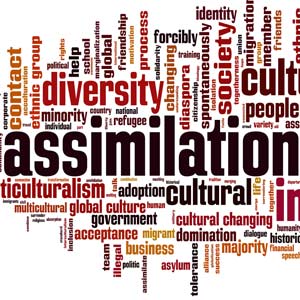 IndiaScope: A New South-Asian Diaspora in Europe