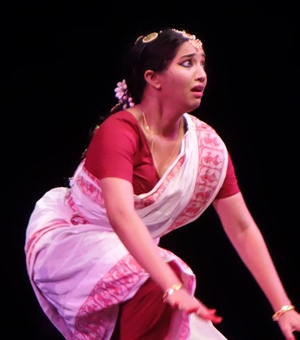 Sankara Nethralaya presented “DrisTi” to raise $200K for villages and eye surgeries in India