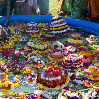 Telangana Community relives Bathukamma tradition