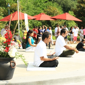 Atlanta celebrates First International Day of Yoga with success