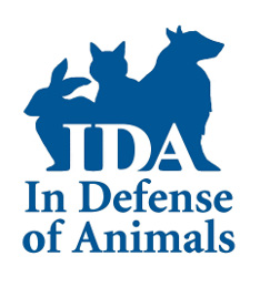 Run/Walk In Defense of Animals