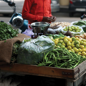 Monsoon of Memories: “Free” Chilies and coriander Leaves