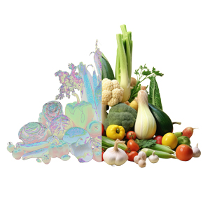 Spotlight: Food Waste to Food Security