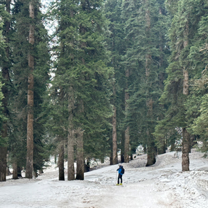 Travel: Kashmir on My Mind