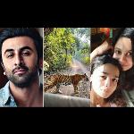 Ranbir-Alia and Deepika-Ranveer Go Wild in Rajasthan!
