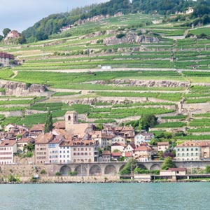 10_19_Travel_LavauxVineyard.jpg