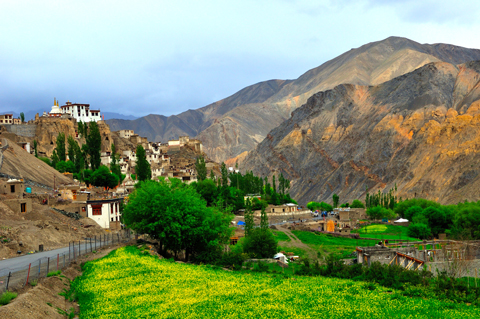 12_19_Travel-Ladakh-Thiksey-Monastery-Valley.jpg