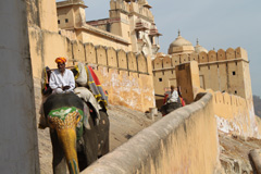 02_16_CvrStry-Amer-Fort.jpg