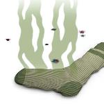 DON’T GET ARRESTED: WEAR CLEAN SOCKS