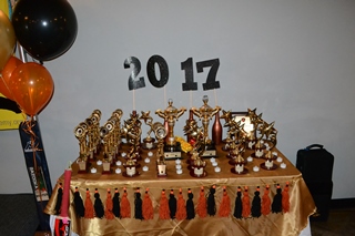 Cricket_Trophies2039_320.JPG