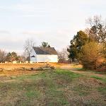 Americana: The Forgotten Tears