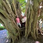 Travel: Ladies Only Adventure in South Africa