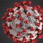 Coronavirus scare grips tinsel town