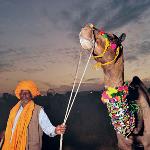 Journeys: A Passage to Pushkar