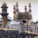 Heritage: Palaces, Pearls, and Paradise