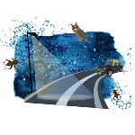 Monsoon of Memories: The Nightly Sounds of My Childhood