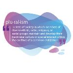 Perspective: Pluralism is in very nature of India; BJP is challenging it