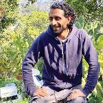 YOUNG FARMER GROWS MANGOES IN CALIFORNIA