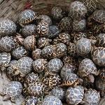 Fun Time: NO ANIMALS IN MY PANTS PLEASE