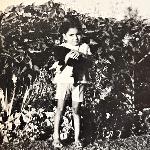 Memories: My Childhood Companions