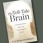 A BRAIN MAN’S GUIDE TO WHAT MAKES US HUMAN