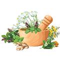 Ayurvedic Herbs to Lower Inflammation