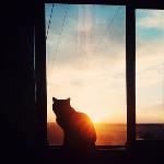 Fiction: A Bag of Ashes