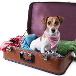 Fun Time: MORE CLOTHES IN OUR HOUSE? NO THANKS