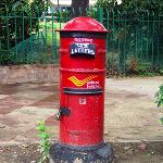 Monsoon of Memories: The Joyous Era of Snail Mail