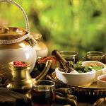 Living: Health in a Pot