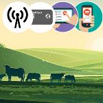 FREE WIFI IS GREAT—IF IT ACTUALLY WORKS